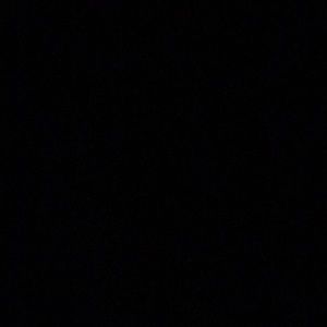 Meet your Posher, Louis